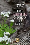 Come l'asperula che cresce tra le rocce libro