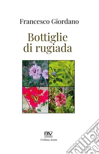 Bottiglie di rugiada libro