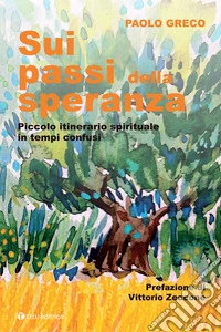 Sui passi della speranza. Piccolo itinerario spirituale in tempi confusi libro