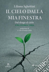Il cielo dalla mia finestra libro