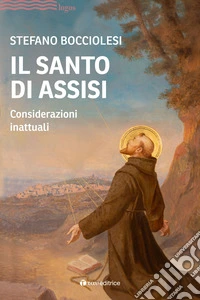 Il santo di Assisi libro