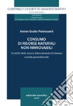 Consumo di risorse naturali non rinnovabili. Tra diritti della natura, bilanciamento di interessi e tutela giurisdizionale libro