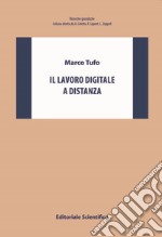 Il lavoro digitale a distanza libro