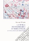 La tutela dei vulnerabili in terra d'islam. La Tunisia caposcuola del mondo arabo? libro