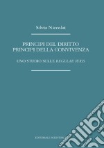 Principi del diritto, principi della convivenza. Uno studio sulle «regulae iuris» libro