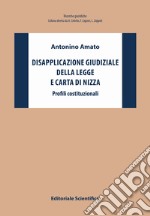 Disapplicazione giudiziale della legge e Carta di Nizza. Profili costituzionali