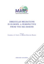 Irregular migrations in Europe: a perspective from the sea basins