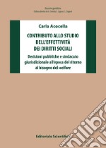 Contributo allo studio dell'effettività dei diritti sociali. Decisioni pubbliche e sindacato giurisdizionale all'epoca del ritorno al bisogno del welfare