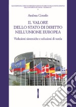 Il valore dello stato di diritto nell'Unione europea. Violazioni sistemiche e soluzioni di tutela