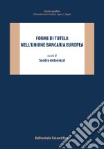 Forme di tutela nell'Unione bancaria europea libro