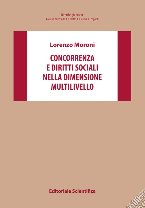 Concorrenza e diritti sociali nella dimensione multilivello