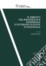 Il diritto fra prospettiva rimediale e interpretazione funzionale libro