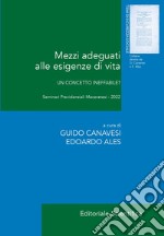 Mezzi adeguati alle esigenze di vita. Un concetto ineffabile?