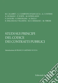 Studi sui principi del Codice dei contratti pubblici