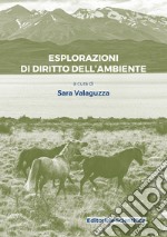 Esplorazioni di diritto dell'ambiente libro