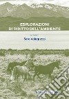 Esplorazioni di diritto dell'ambiente libro