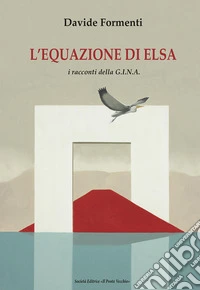 L'equazione di Elsa. I racconti della G.I.N.A. libro