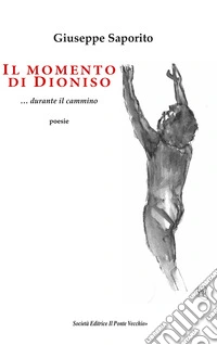 Il momento di Dioniso... durante il cammino libro