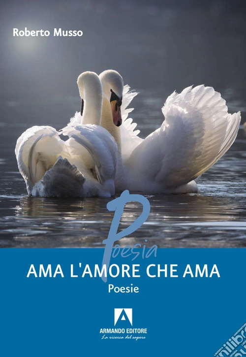 Ama l'amore che ama