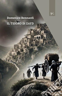 Il tesoro di Zayd libro