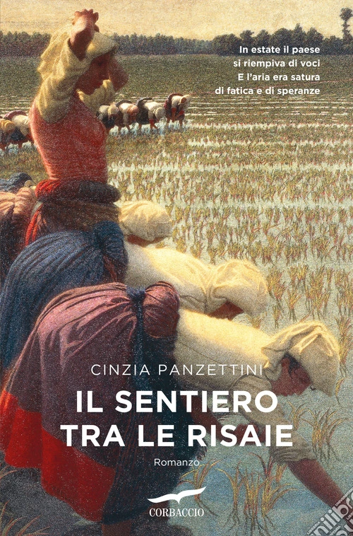 Il sentiero tra le risaie