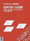 Geometria e algebra. Vettori, equazioni e curve elementari libro