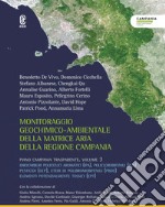 Monitoraggio geochimico-ambientale della matrice aria della Regione Campania. Piano Campania trasparente. Vol. 3