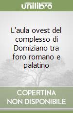 L'aula ovest del complesso di Domiziano tra foro romano e palatino