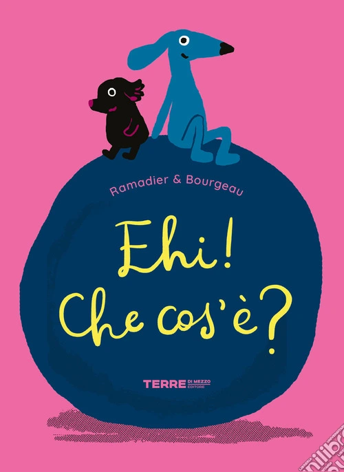 Ehi! che cos'è? Ediz. a colori
