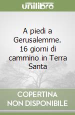 A piedi a Gerusalemme. 16 giorni di cammino in Terra Santa libro