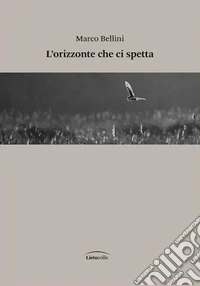 L'orizzonte che ci spetta libro