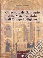 Gli ex voto del Santuario della Mater Amabilis di Ossago Lodigiano libro