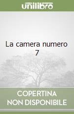 La camera numero 7