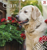 Calendario Grande Cani libro