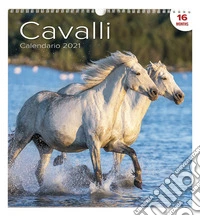 Calendario 2027 CG Cavalli