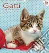 Calendario Grande Gatti libro