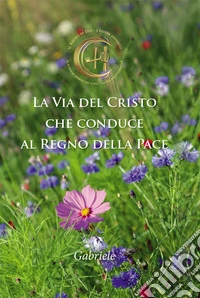 La via del Cristo che conduce al regno della pace libro