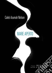Mare aperto