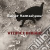 Bahar Hamzehpour. Without borders. Ediz. italiana e inglese libro