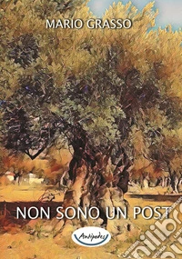 Non sono un post libro