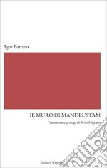 Il muro di Mandel'stam libro