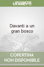Davanti a un gran bosco libro