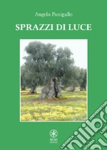 Sprazzi di luce libro