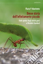 Breve storia dell'infinitamente piccolo. Vol. 1: Dalle ipotesi degli antichi greci al modello standard