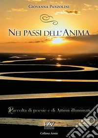 Nei passi dell'anima. Raccolta di poesie e di attimi illuminati libro