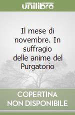 Il mese di novembre. In suffragio delle anime del Purgatorio libro