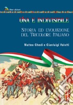 Una e indivisibile. Storia ed evoluzione del tricolore italiano libro