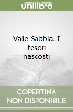 Valle Sabbia. I tesori nascosti libro