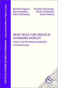 What role for CEECs in changing world? Views on the re-shaping geopolitics of Central Europe libro