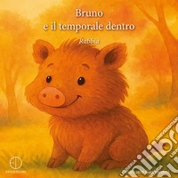 Bruno e il temporale dentro libro